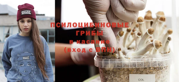 гидропоника Вяземский