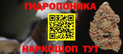 дмт Пушкино