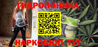 дмт Пушкино
