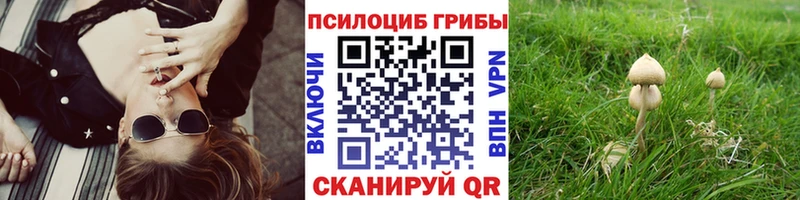 Галлюциногенные грибы Magic Shrooms  Чита 